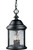 Ashmore Collection Textured Black 3-light Hanging Lantern