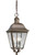 Andover Collection Antique Bronze 3-light Hanging Lantern