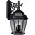 Welbourne Collection Textured Black 3-light Wall Lantern