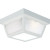 White 2-light Outdoor Flushmount