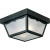 Black 2-light Outdoor Flushmount