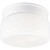 Swirled Glass Collection White Two-Light Close-to-Ceiling