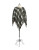 Lauren Ralph Lauren Plaid Poncho - BLACK/IVORY TARTAN