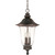 Parisian 3 -Light 24 Inch Hanging Lantern with Fluted Seed Glass Finished in Old Penny Bronze