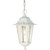 Cornerstone 1 -Light 13 Inch Hanging Lantern with Clear Seed Glass Finished in White