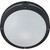 Hudson Matte Black 2-Light 18 watt13 Inch Round Wall / Ceiling Fixture