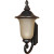 Parisian Old Penny Bronze 1-Light Wall Lantern with Champagne Glass  (Bulb included)