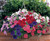 Petunia Ramblin' Mixed F1