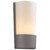 Contemporary Beauty 1 Light Outdoor Wall Sconce with Matte Opal Glass and Slate Finish