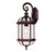 Satin 1 Light Bronze Incandescent Outdoor Wall Mount With Clear Glass