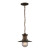 1-Light Outdoor Hazelnut Bronze Pendant