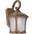 Burton 1 Light Rustic Sienna  Outdoor Compact Fluorescent Lighting Wall Light