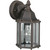 Burton 1 Light Painted Rust  Outdoor Incandescent Wall Light