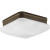 Appeal Collection 2-Light Antique Bronze Flushmount