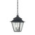 Monroe 2 Light Weathered Bronze Outdoor Incandescent Pendant Light