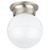 1 Light Brushed Nickel Incandescent Ceiling Fixture