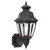 1 Light Black Incandescent Outdoor Wall Lantern