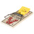 Easy Set Mouse Trap 2 pack