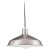 1 Light Brushed Stainless Incandescent Pendant