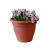 17 In. Bell Pot - Spice