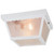 Exterior Ceiling Light - White