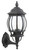 Exterior Wall Lantern - Black