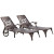 Biscayne Bronze Chaise Lounge Chairs (2)