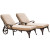 Biscayne Bronze Chaise Lounge Chairs (2) Taupe Cushions