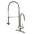 Stainless Steel Pull-Down Spray Kitchen Faucet with Deck Plate