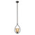 1 Light Mini Pendant In Oil Rubbed Bronze With Led Option