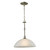 1 Light Pendant In Brushed Nickel With Led Option