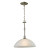 1 Light Pendant In Brushed Nickel With Led Option