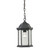 Outdoor Pendant In Matte Textured Black