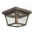 Outdoor Flush Mount In Hazelnut Bronze