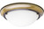 Eclipse Collection Antique Brass 2-light Flushmount