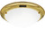 Eclipse Collection Polished Brass 3-light Flushmount