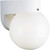 Polycarbonate Collection White 1-light Wall Lantern