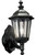 Black 1-light Wall Lantern