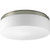 Maier Collection Brushed Nickel 2-light Flushmount