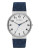 Skagen Denmark Mens Ancher Standard Skw6098 - BLUE