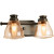 Academy Collection 2-light Antique Bronze Bath Light