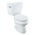Wellworth The Complete Solution 1.28 gpf  Round-Front Toilet in White