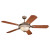 52 Inch Indoor Palladium Incandescent Ceiling Fan