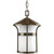 Welcome Collection Antique Bronze 1-light Hanging Lantern