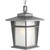 Loyal Collection 1-light Textured Graphite Hanging Lantern