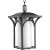 Promenade Collection 1-light Black Hanging Lantern