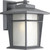 Loyal Collection 1-light Textured Graphite Wall Lantern