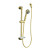 Mastershower Hotel Handshower Kit In Vibrant Polished Brass