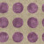 20.5 In. W Purple Large Polka Dot on a Grey Taupe Ground Wallpaper