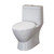 Serena Dual Flush One Piece 1.6 Gal. Elongated Toilet With Soft Close Seat